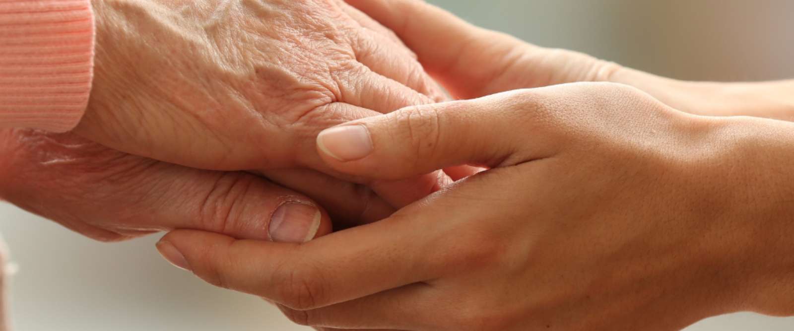 Signs of decline header